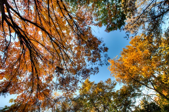 Fall Foliage At Kansas City's Cliff Drive - Eric Bowers Photoblog