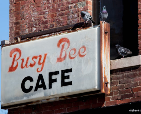 KC Crossroads Pigeons at the Busy Bee