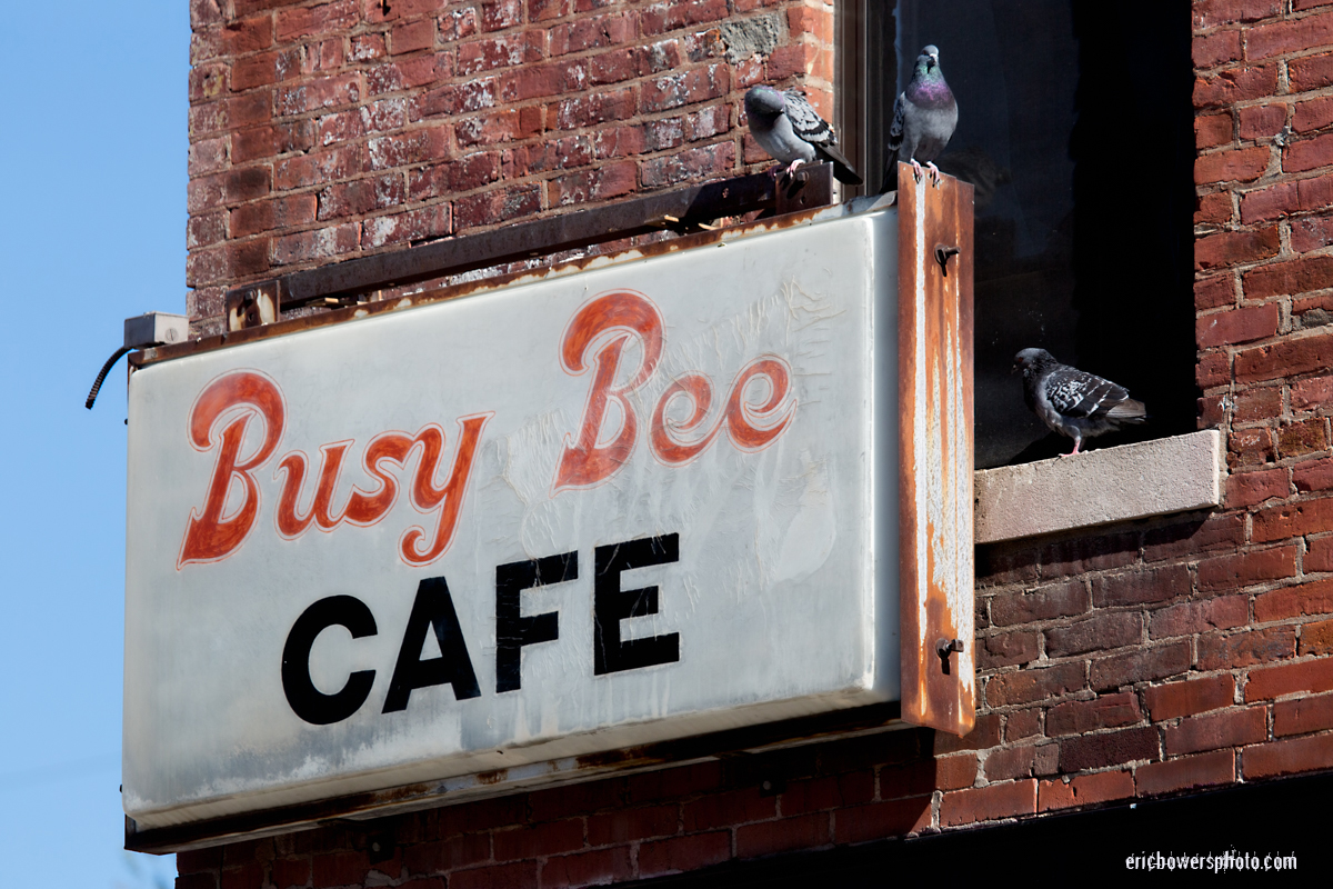 KC Crossroads Pigeons at the Busy Bee