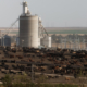Cattle Feedlot Just Off of Dodge City